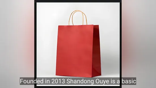 China Factory Paper Bag Kraft Shopping Bag Custom Cardboard Packaging Bags for Gift Packing