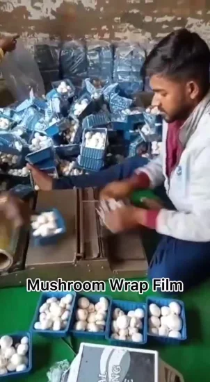 Stretch Film Jumbo Roll Anti Fog PVC Cling Wrap Film for Mushrooms Packing